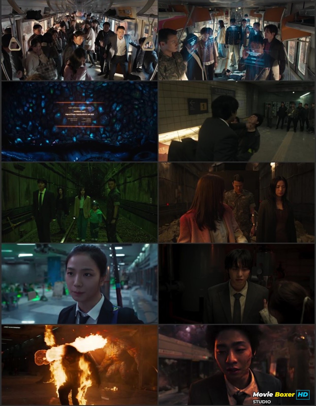 Screenshots Grid