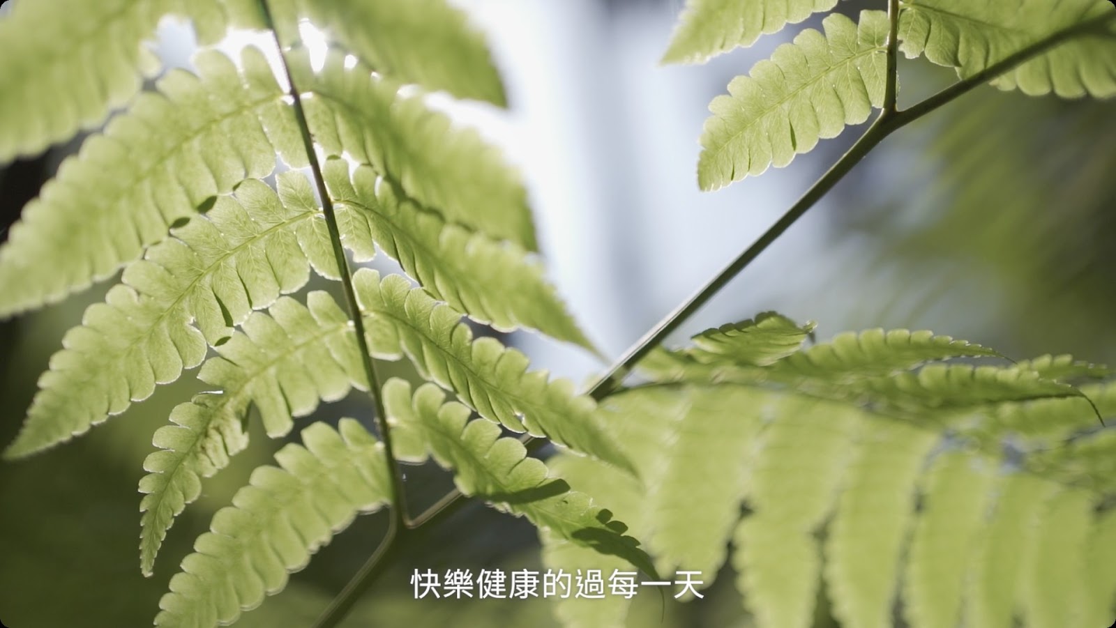 莊園形象片 screenshot 17