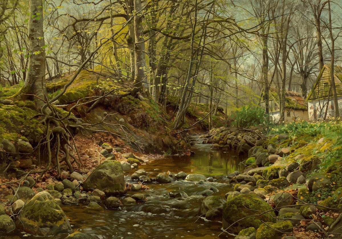 A forest stream 1905