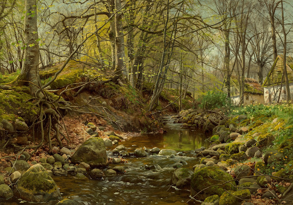 A forest stream 1905