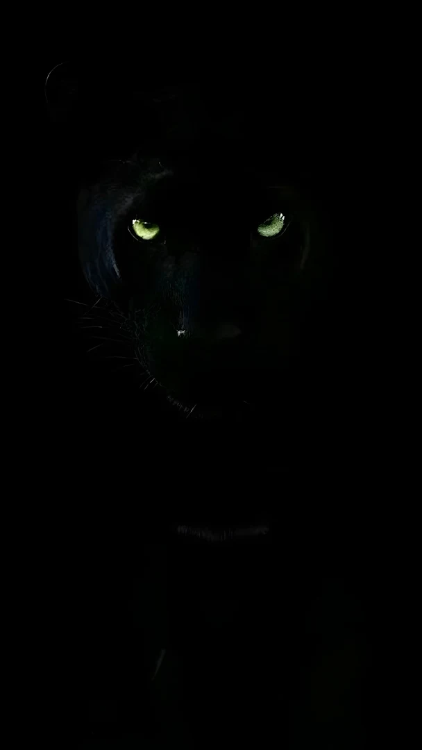 Black Panther with Intense Glowing Green Eyes