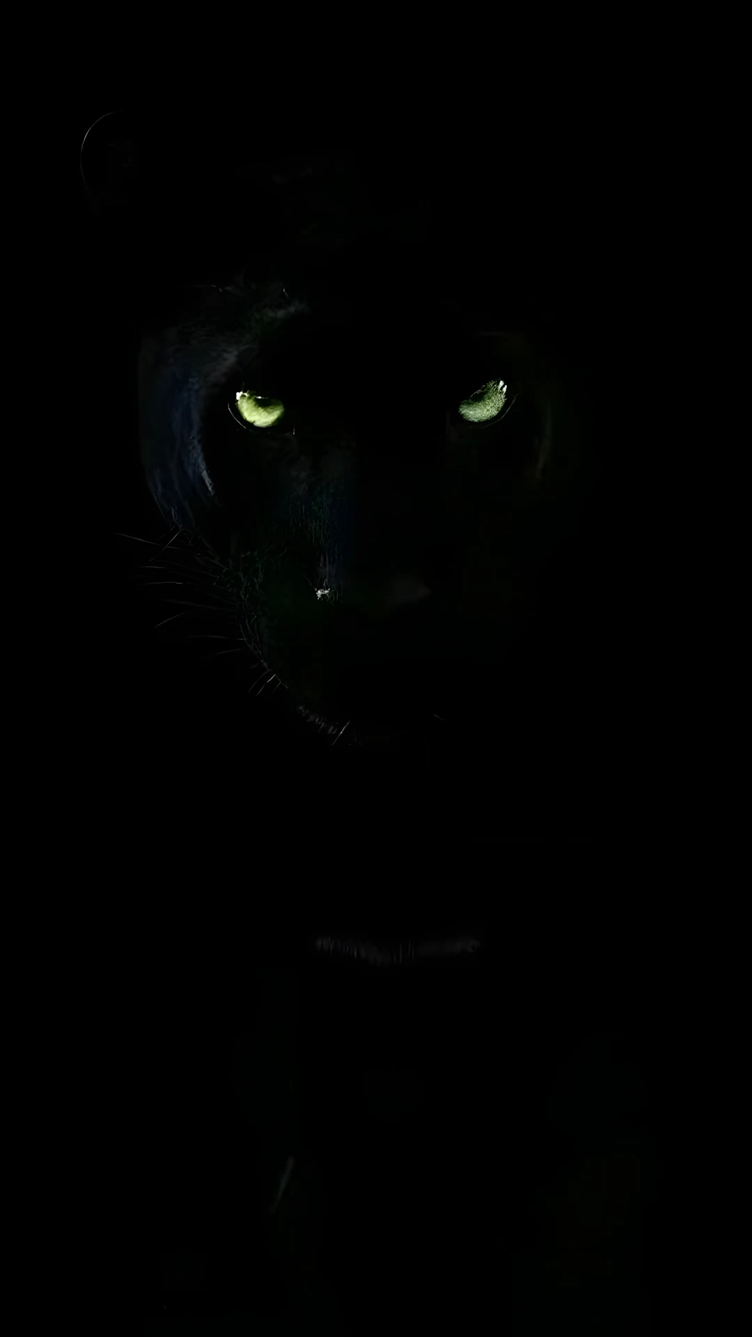 Black Panther with Intense Glowing Green Eyes - Free 4K mobile Wallpaper