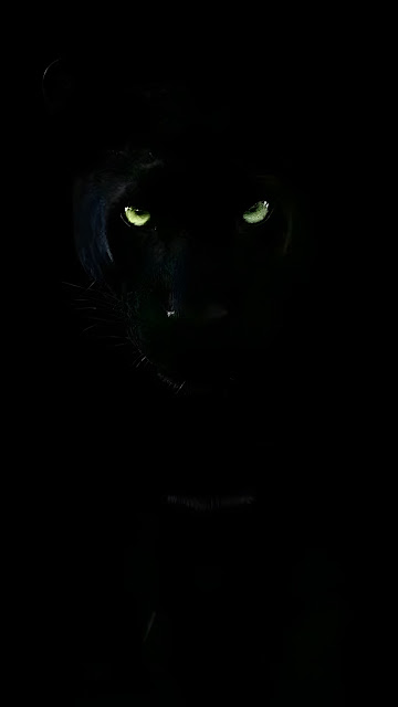 Black Panther with Intense Glowing Green Eyes - Free mobile Wallpaper