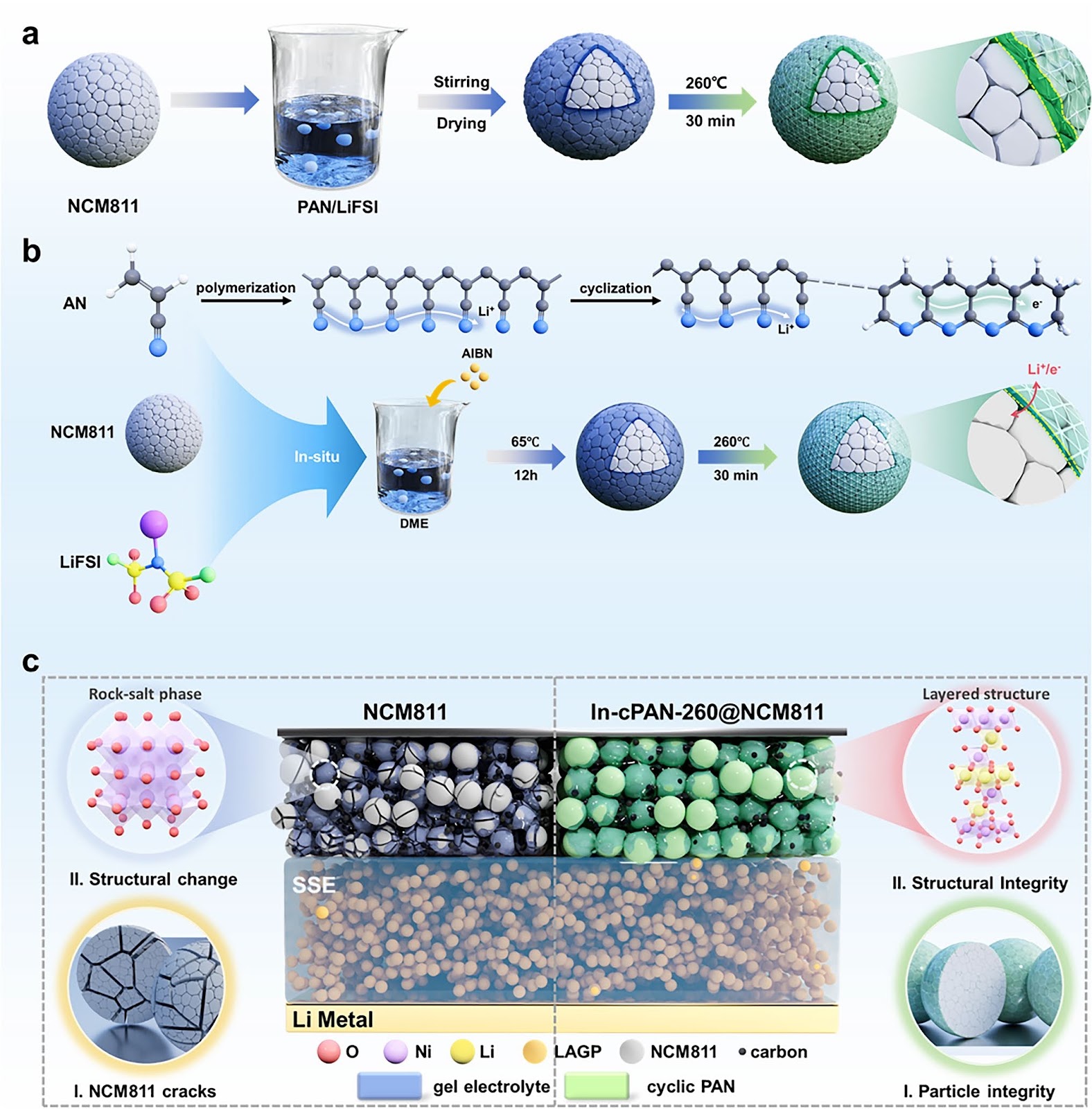 In Situ Partial-Cyclized Polymerized Acrylonitrile-Coated NCM811 Cathode for High-Temperature ≥ 100 °C Stable Solid-State Lithium Metal Batteries