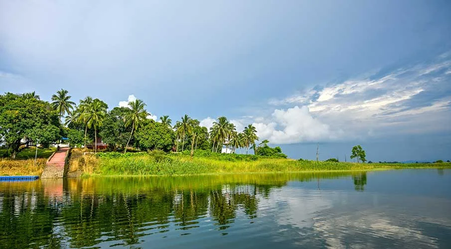Panisagar