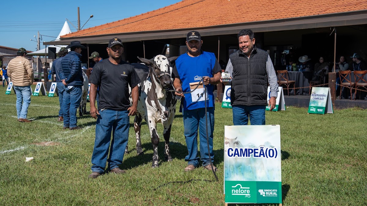 EXPOALAN 17 (3) - Expoagro 2026