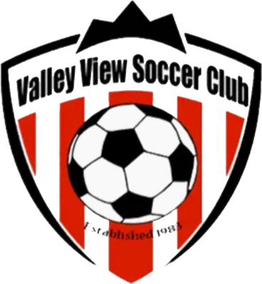 Valley View SC logo