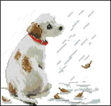 CMP 400260 Dog In The Rain
