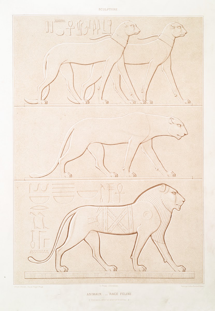 Sculpture animaux  race féline Thèbes  XVIIe et XVIIIe dynasties 1878