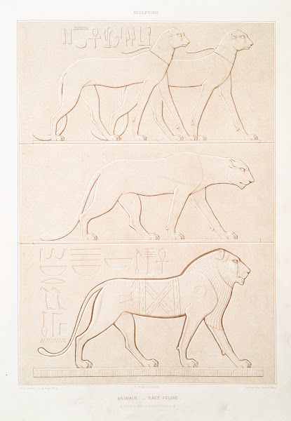 Sculpture animaux  race féline Thèbes  XVIIe et XVIIIe dynasties 1878
