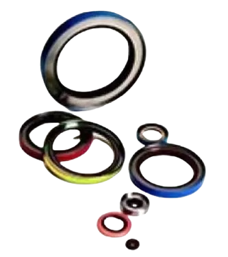 OIL SEAL