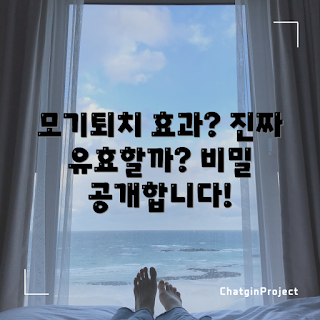 모기퇴치기업소용, 효과 있는 방법, 어떻게 모기를 퇴치할까, 모기 퇴치 효능, 왜 모기퇴치기업소용인가