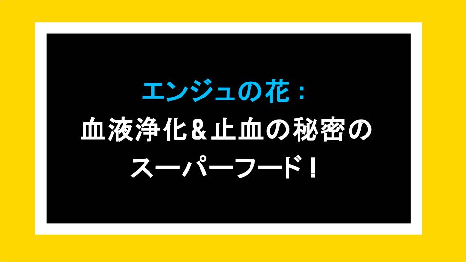 エンジュの花：血液浄化＆止血の秘密のスーパーフード！