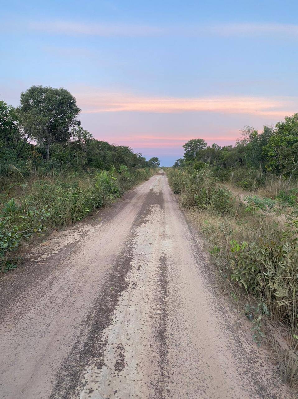Fazenda em Ribeirão Cascalheiras-MT 3