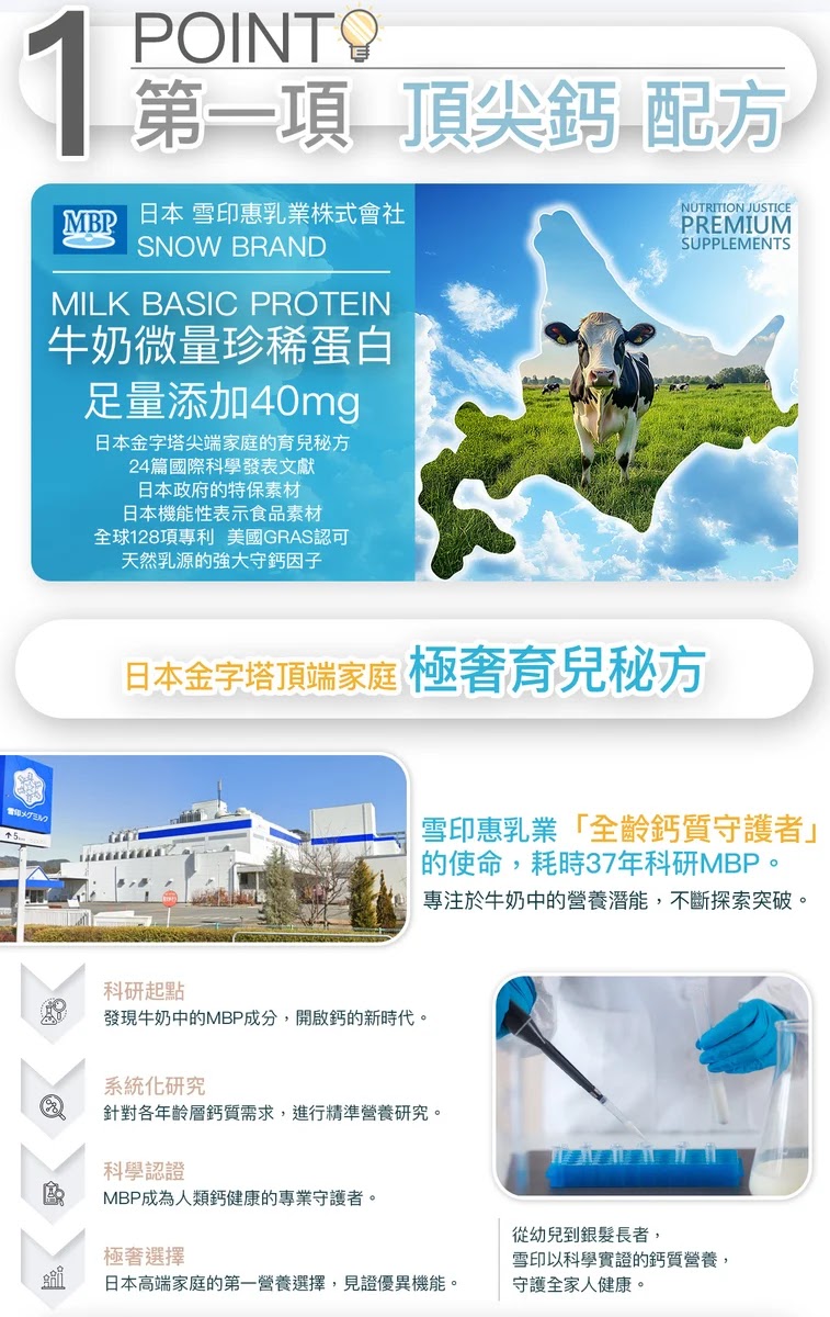 預覽