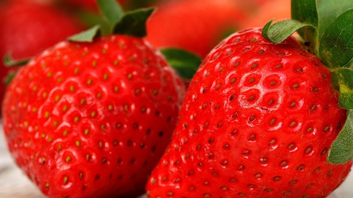 건강기능식품 성분별 흡수율