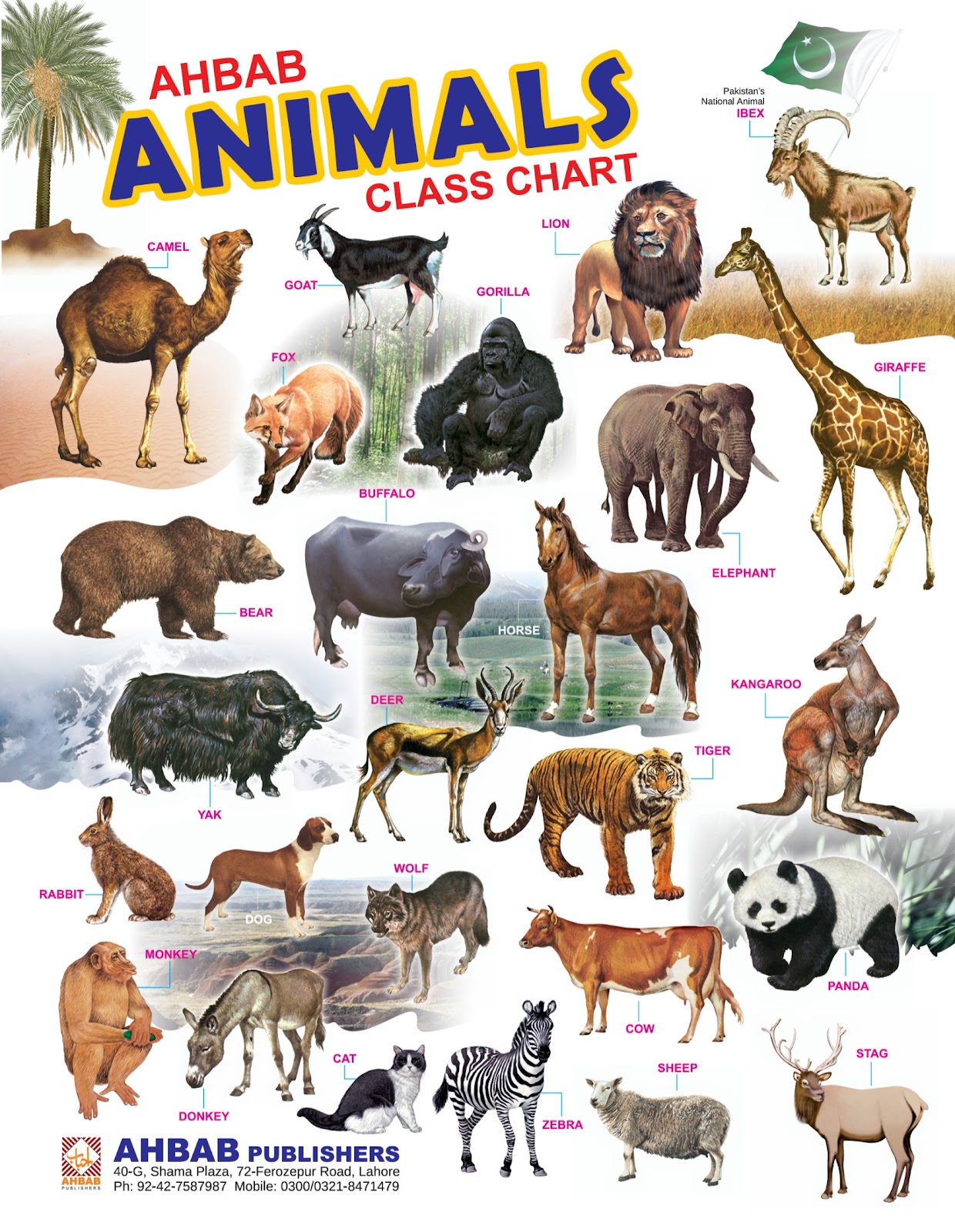 Animals - Class Chart