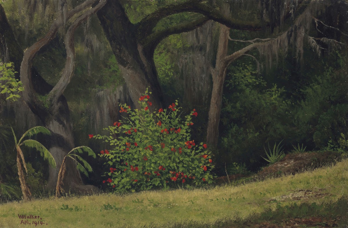 Woodland Scene with Red Flowered Bush 1914