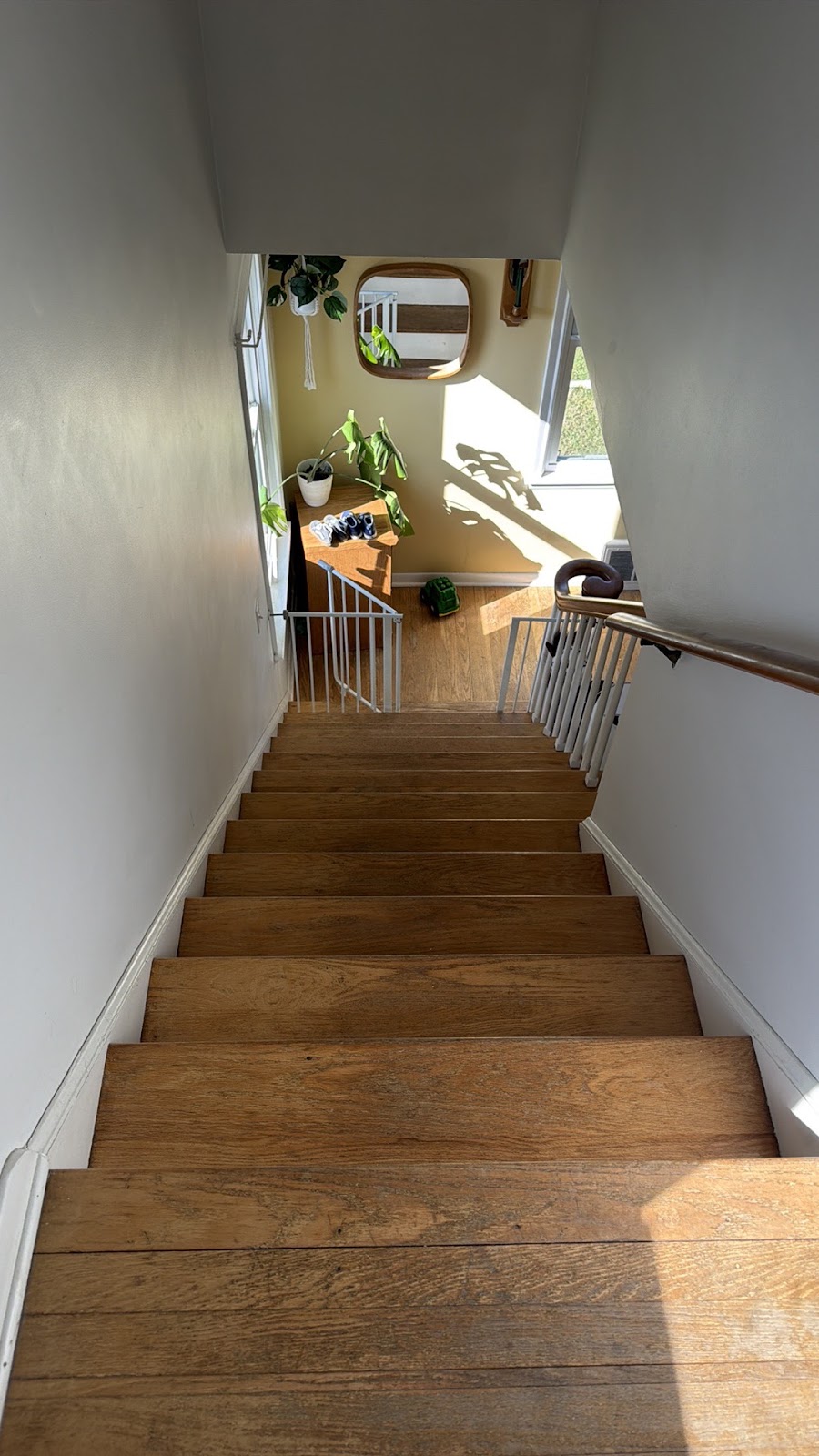 Copy of IMG_2026-03-12_16-19-24_238.jpg