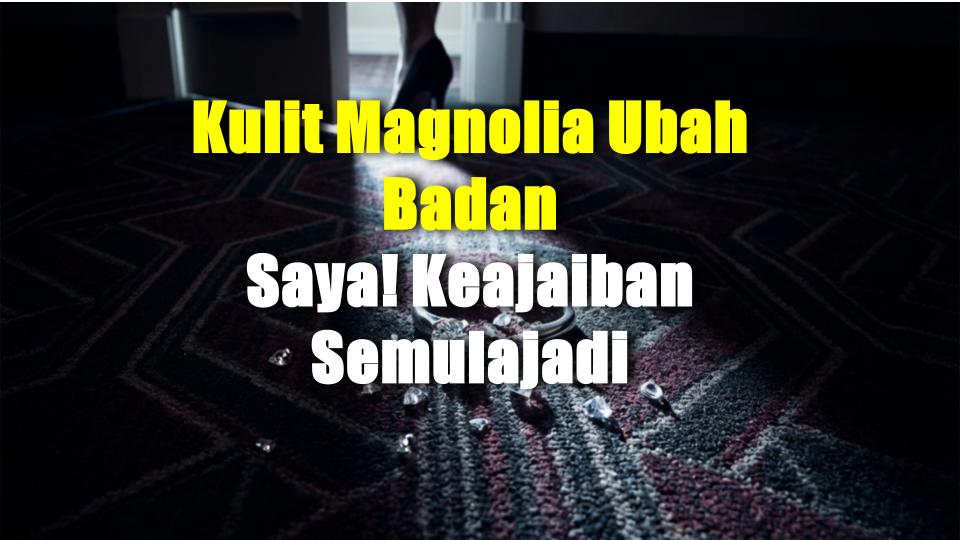 Kulit Magnolia Ubah Badan Saya! Keajaiban Semulajadi