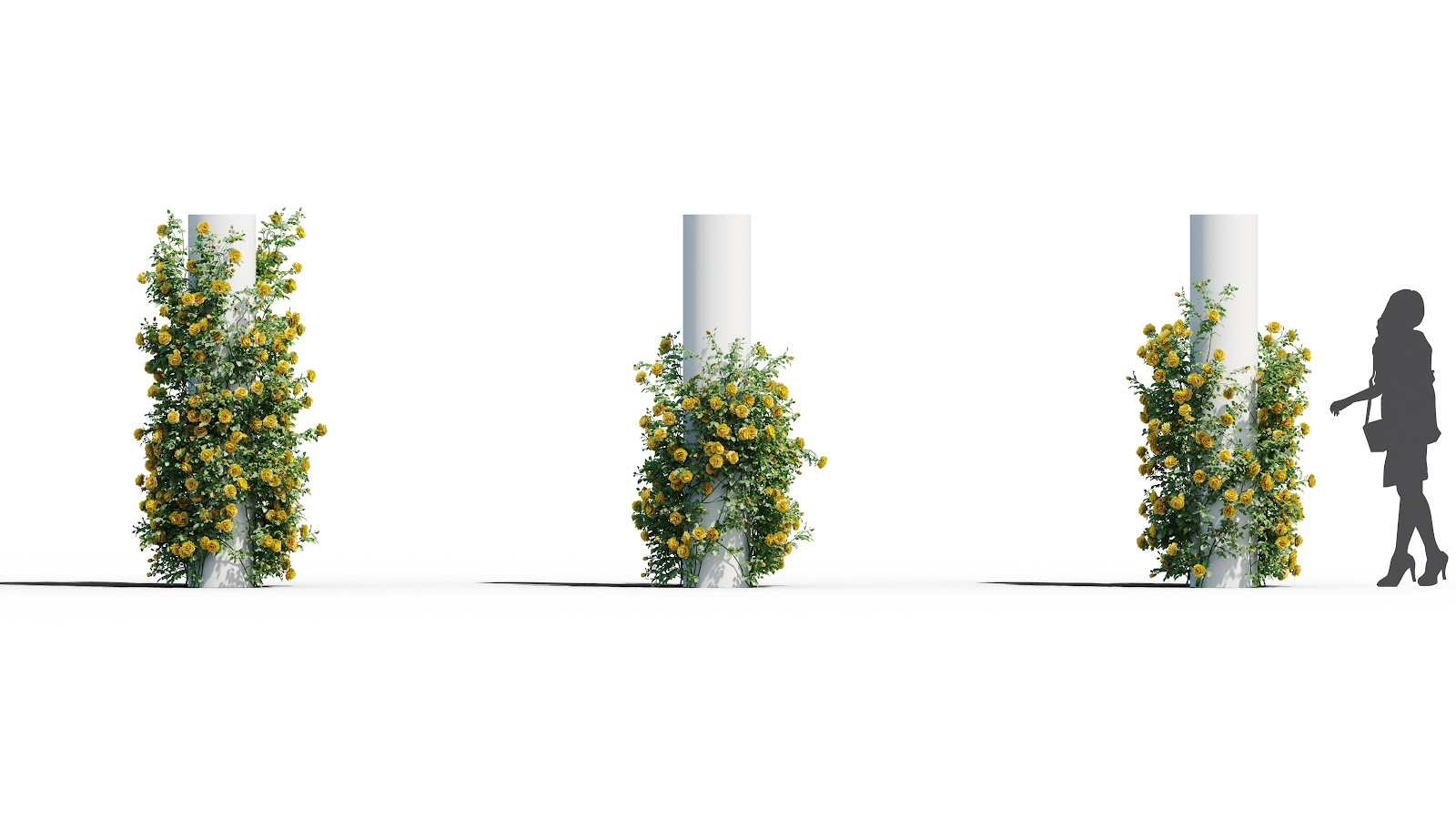 Maxtree - Plant Models Vol.37