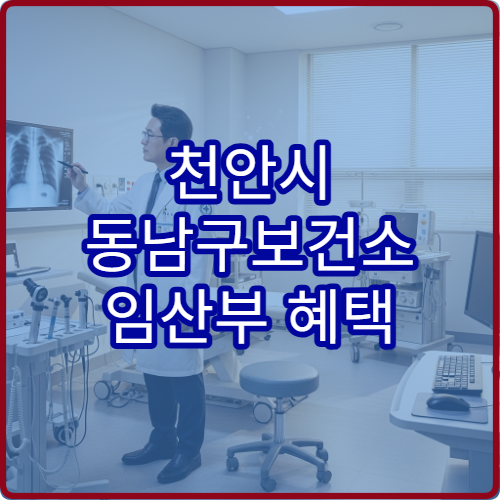 천안시 동남구보건소 임산부 혜택 철분제 엽산 지원 내용