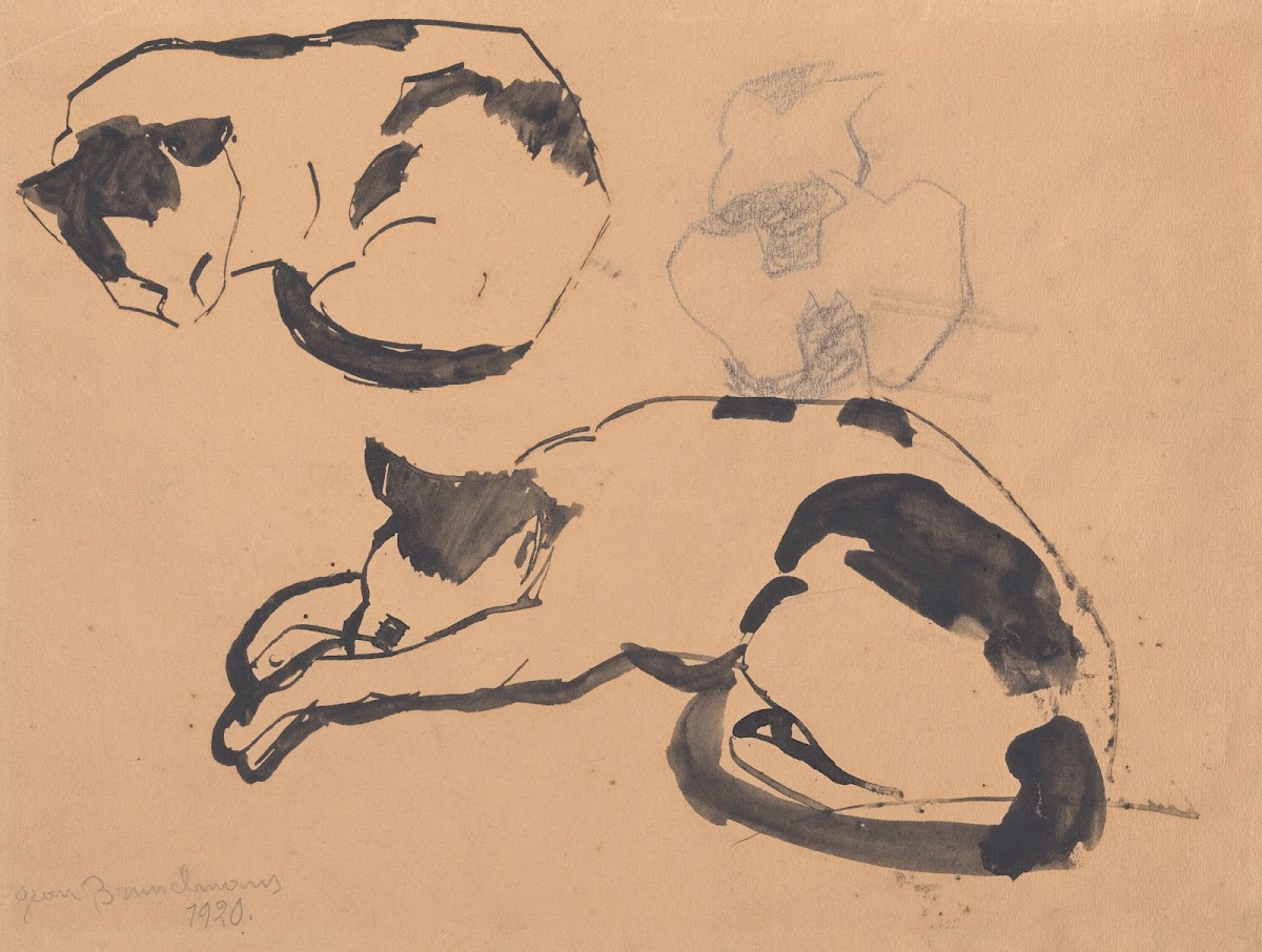 Cats 1920