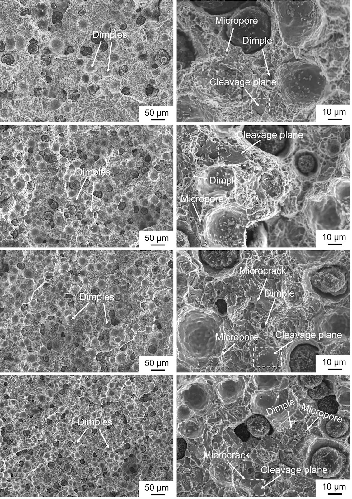 Influence of nodular graphite on microstructure, mechanical properties, and wear behavior of austempered ductile iron