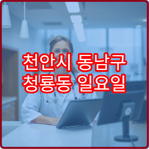 천안시 동남구 청룡동 일요일 이비인후과 진료 병원 코막힘 진단 안내
