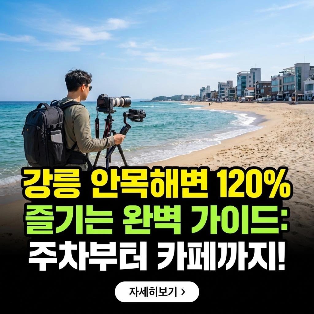강릉 안목해변 120% 즐기는 완벽 가이드: 주차부터 카페까지!