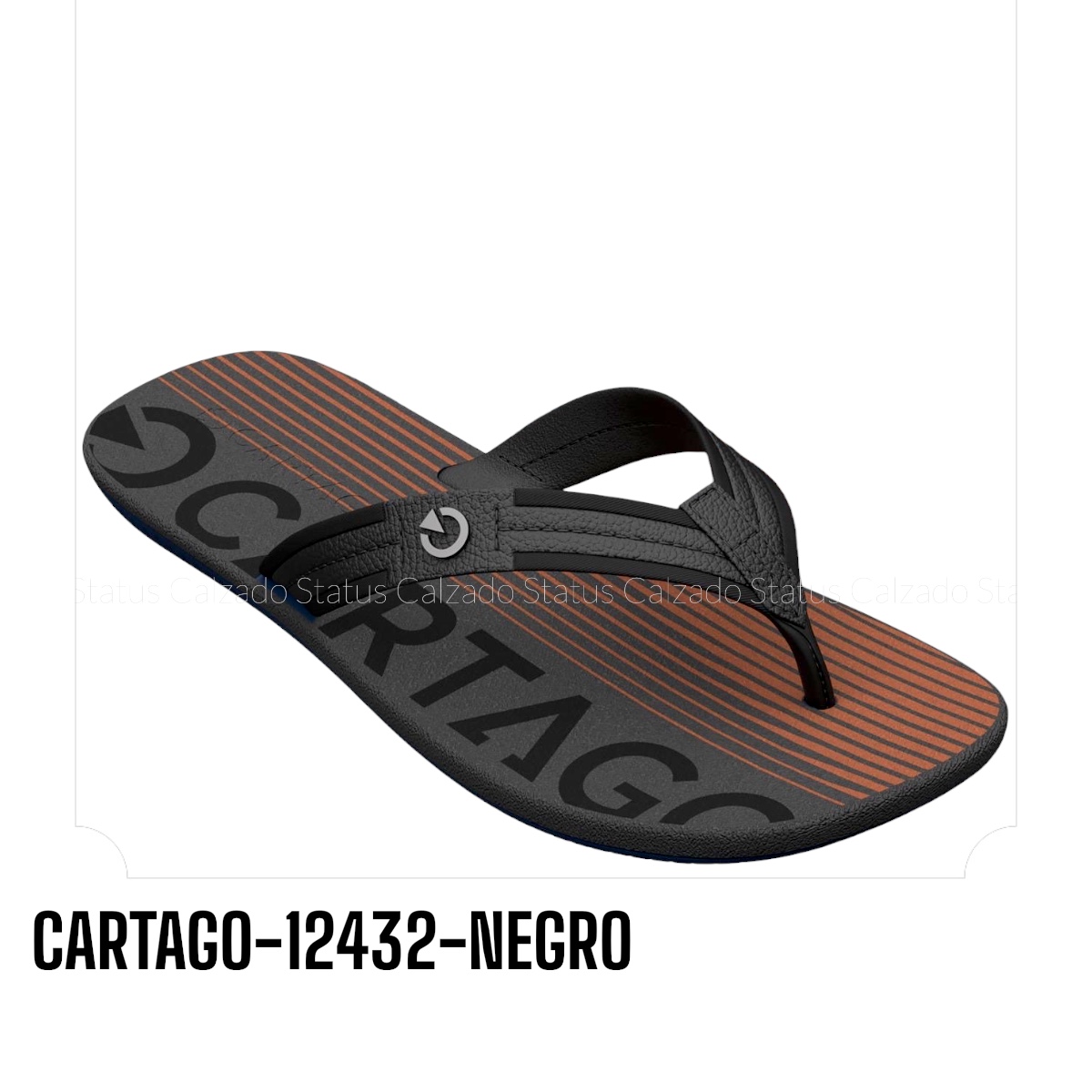 CARTAGO-12432-NEGRO