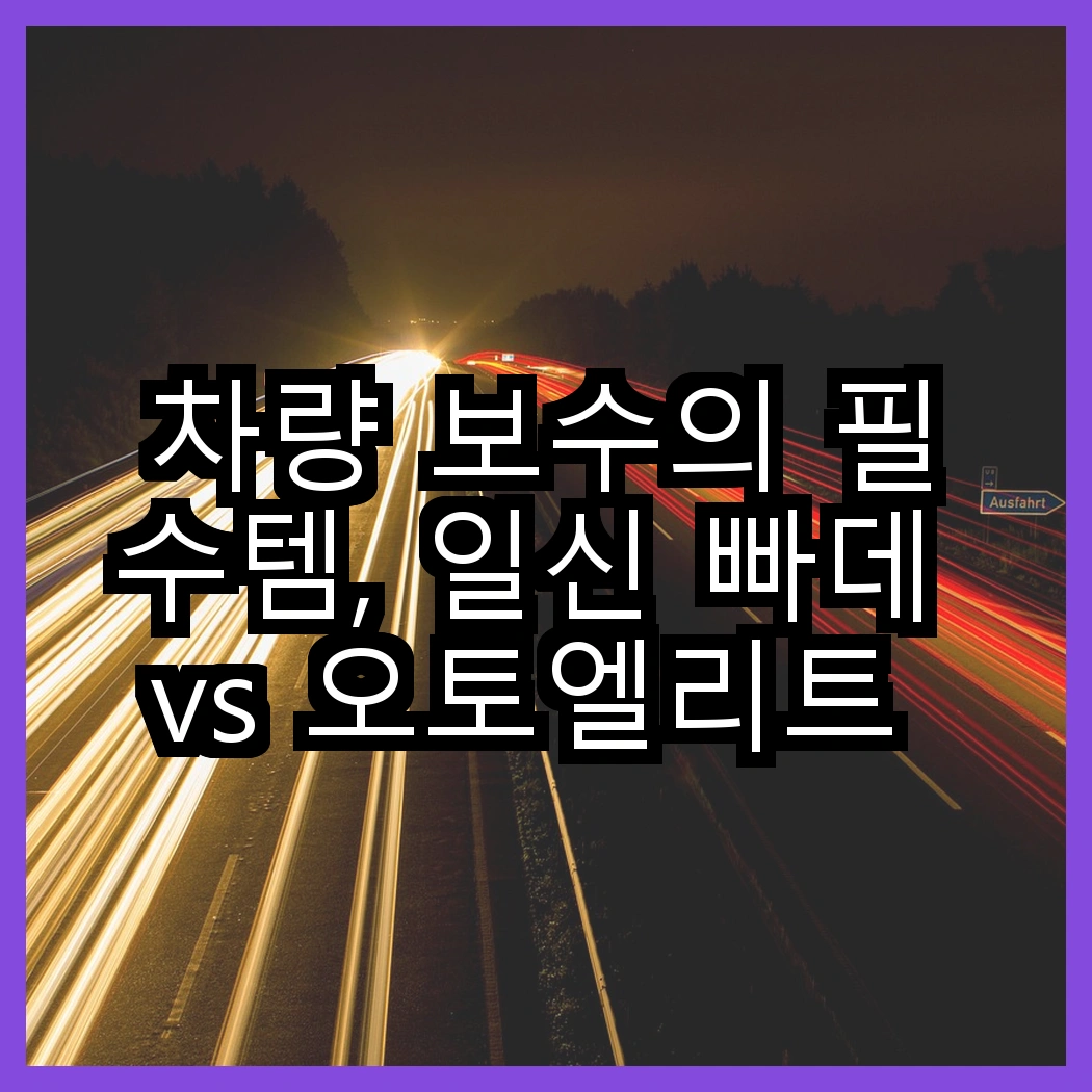차량 보수의 필수템, 일신 빠데 vs 오토엘리트 안전벨트클립, 어떤 선택이 더 나을까? 썸네일