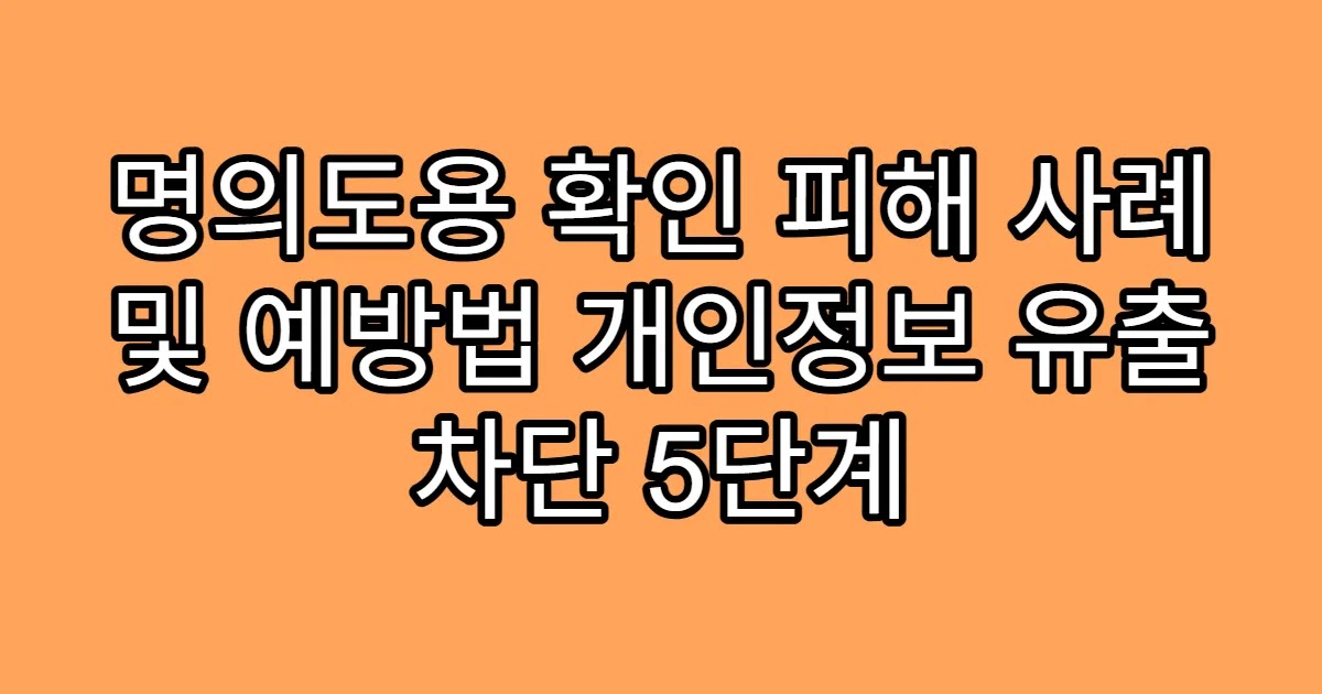 명의도용 확인 피해 사례 및 예방법 개인정보 유출 차단 5단계
