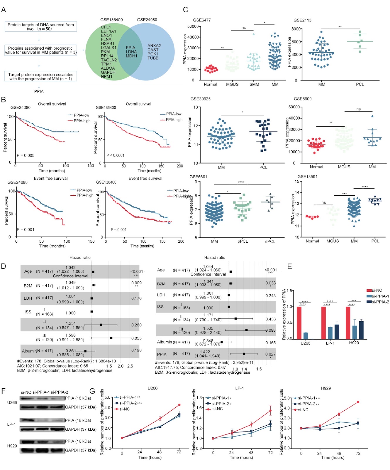 PPIA as a central regulator in a novel cell death pathway activated by iron homeostasis and redox disruption in multiple myeloma