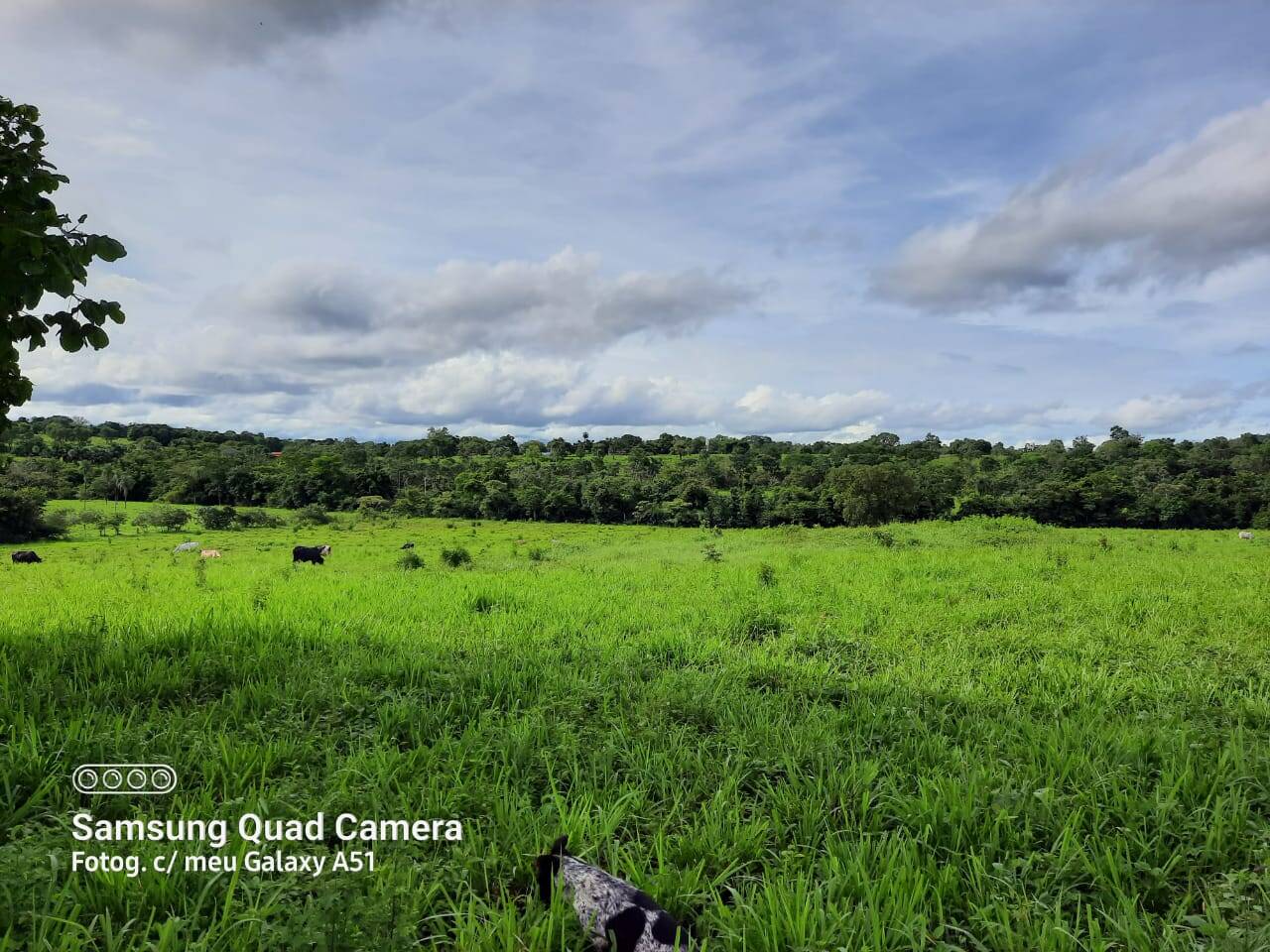 Fazenda em Formoso-GO 7
