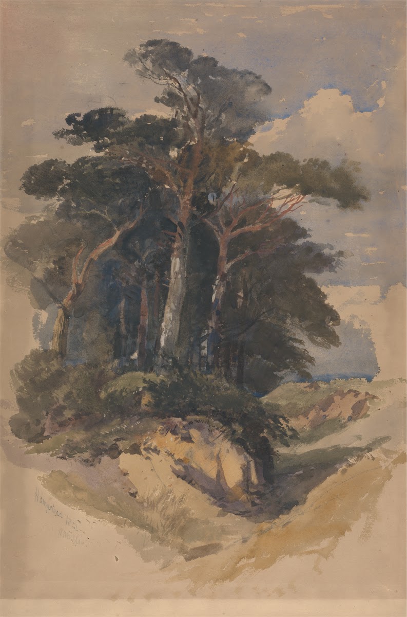 Pines on Hampstead Heath 1842