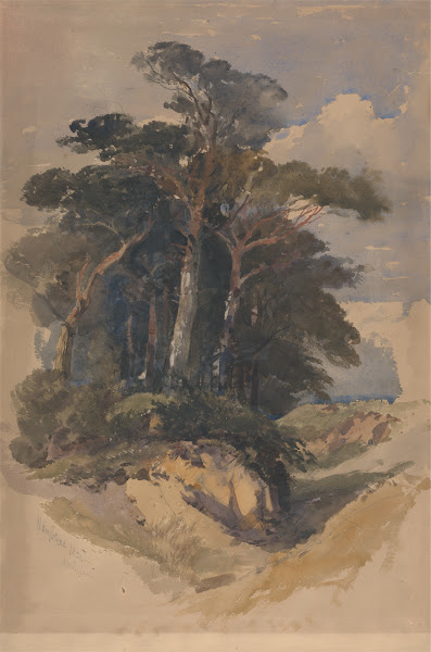 Pines on Hampstead Heath 1842