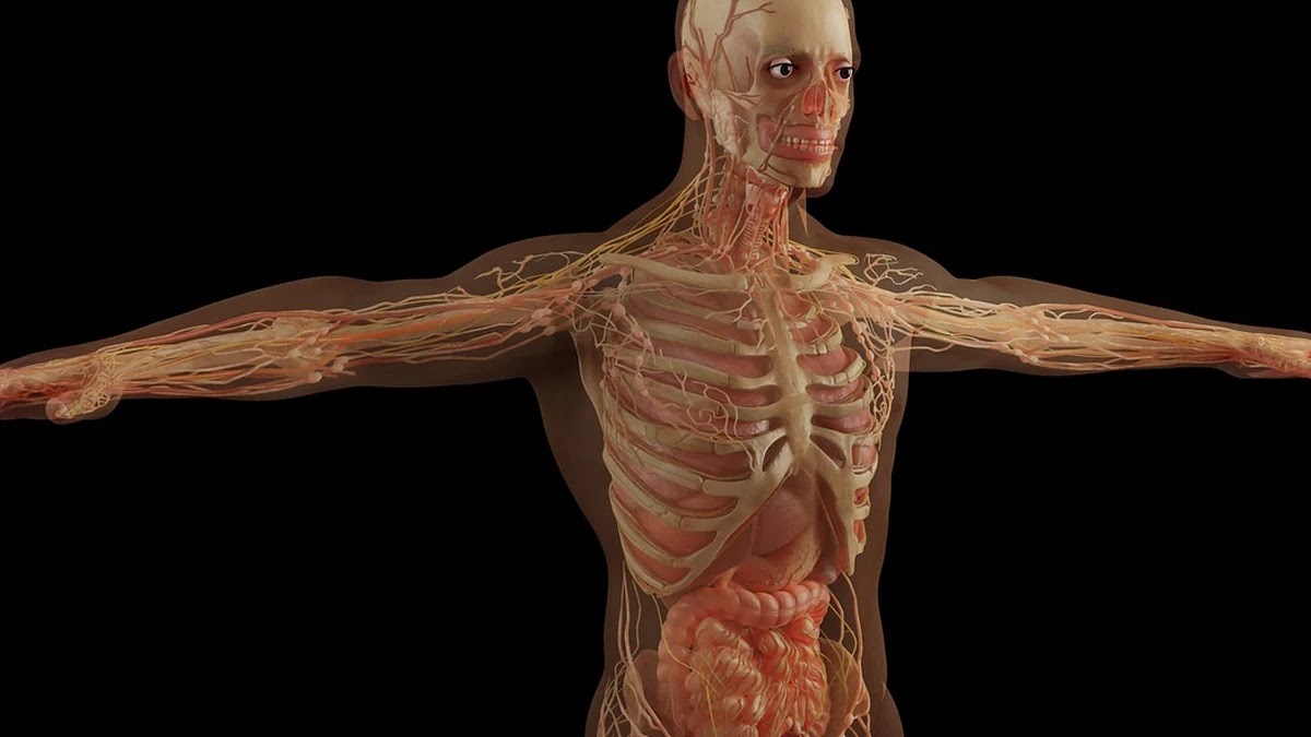 자연어처리 AI 구조와 GPT 모델의 차이점