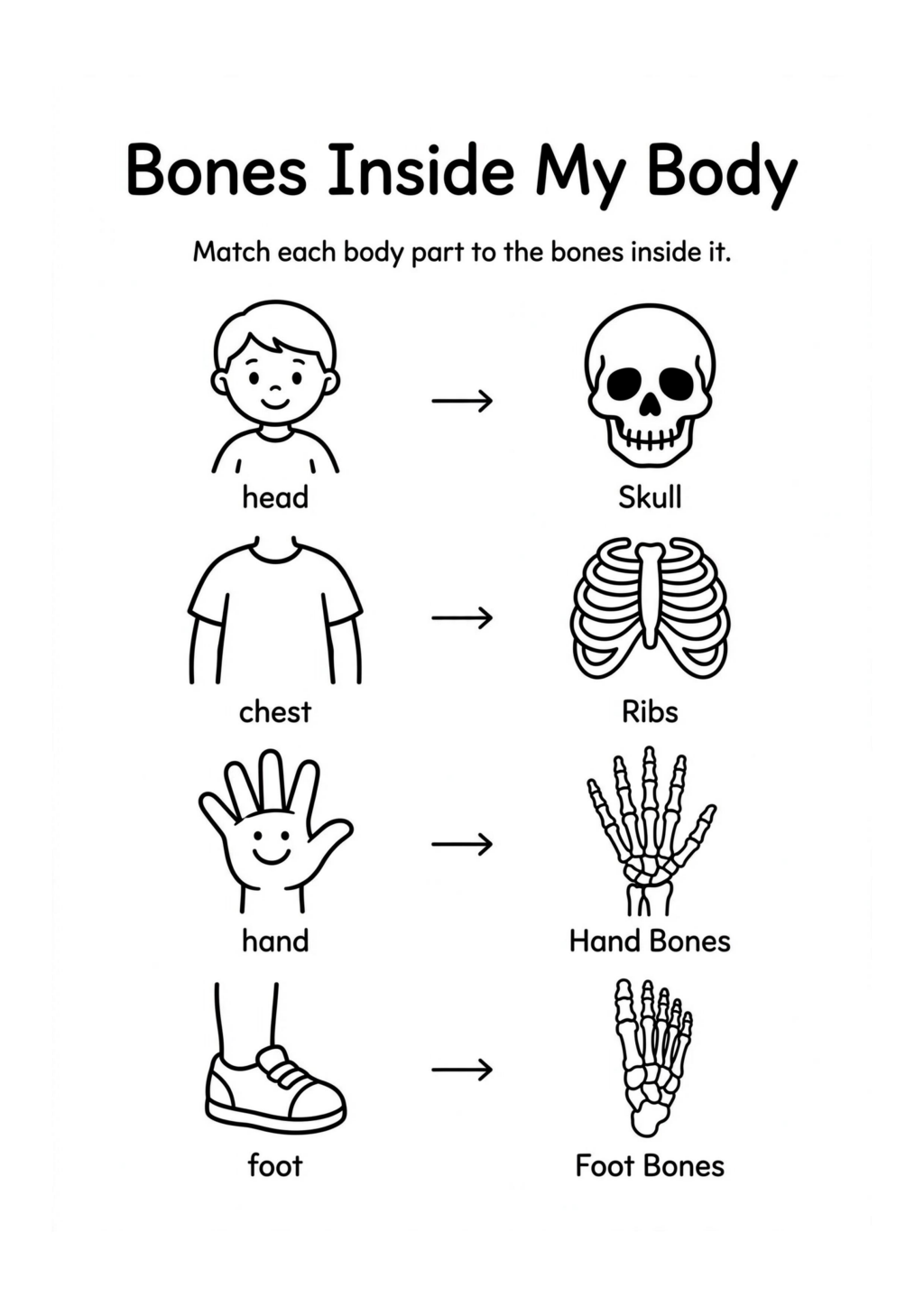 Bones Inside My Body