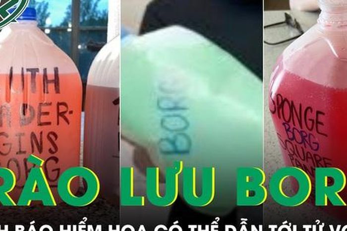 Trào lưu BORG uống bình nước 4 lít pha rượu trên TikTok và cái giá sức khỏe đáng sợ - Báo Sức Khỏe &amp; Đời Sống