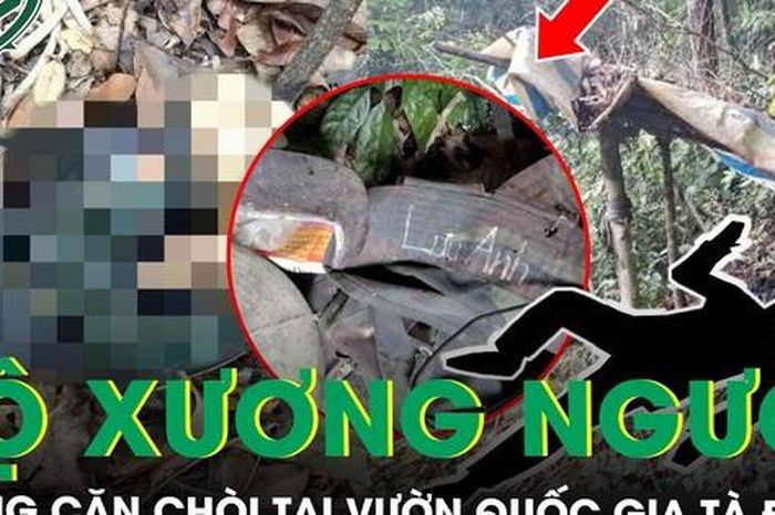 Phát hiện bộ xương người trong căn chòi tại Vườn Quốc gia Tà Đùng với bí ẩn dòng chữ trên cổ áo - Báo Sức Khỏe &amp; Đời Sống