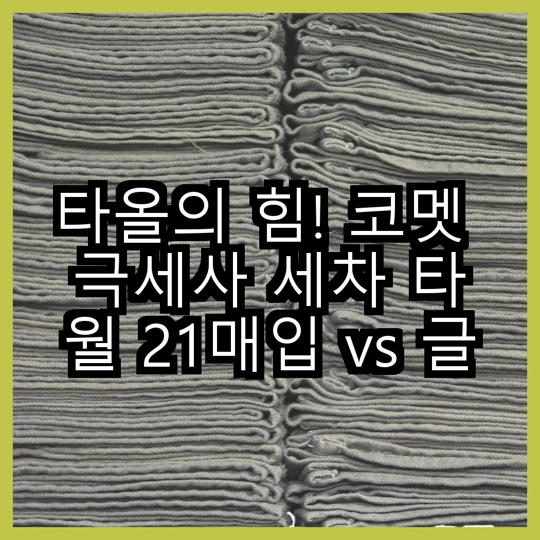 타올의 힘! 코멧 극세사 세차 타월 21매입 vs 글래스 타월 40x40cm, 어떤 선택이 필요할까? 썸네일