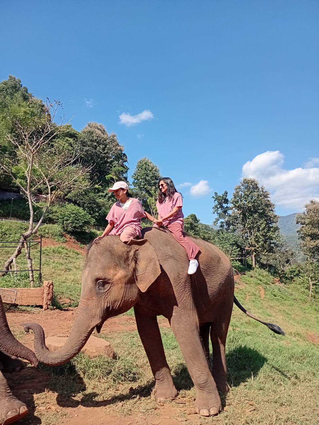 Siam Ride