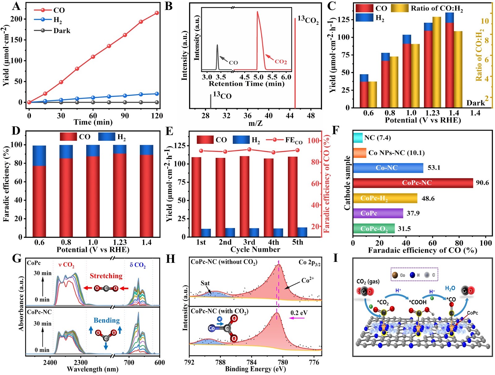 Highly Active Oxygen Evolution Integrating with Highly Selective CO2-to-CO Reduction