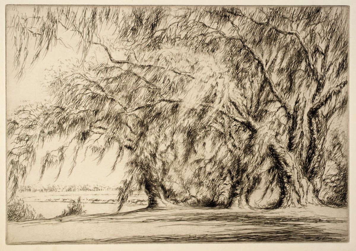 Oaks and Moss ca 1920 1940
