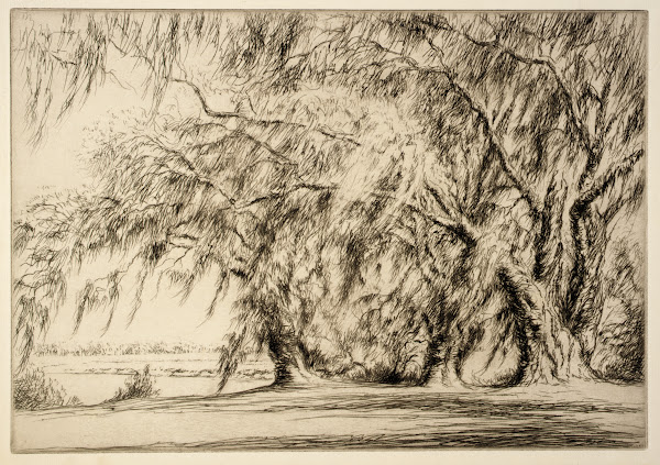 Oaks and Moss ca 1920 1940