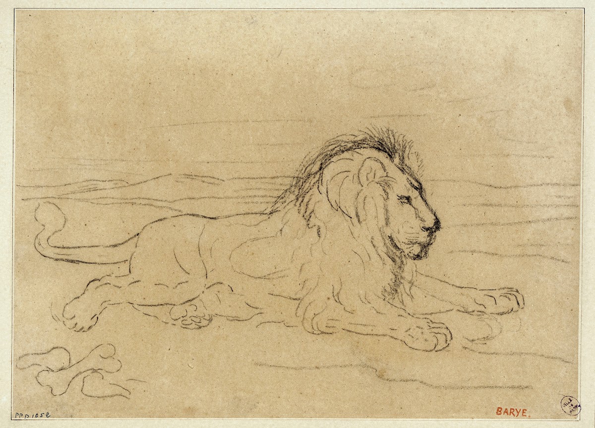 Lion couché 19th century