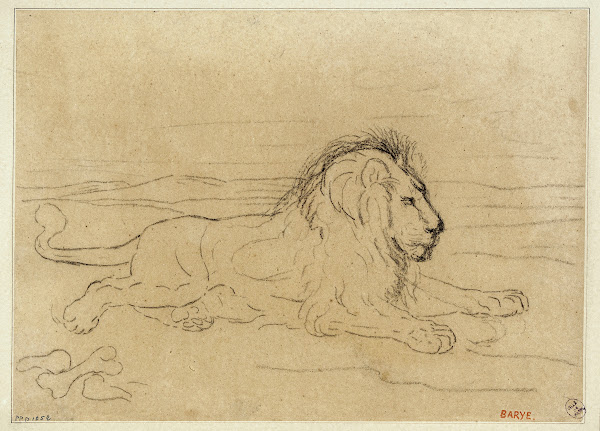 Lion couché 19th century