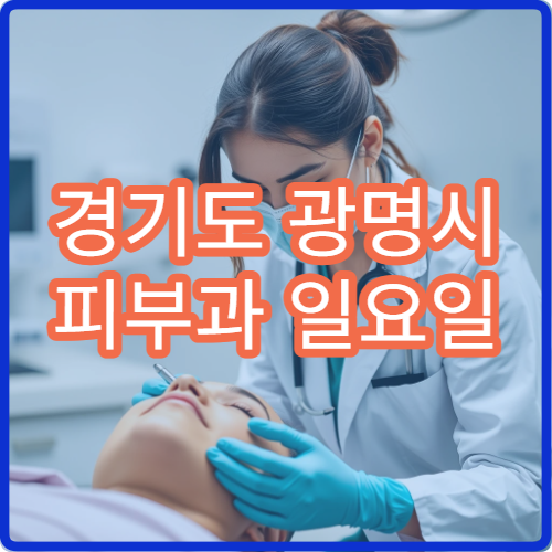 경기도 광명시 피부과 일요일 진료 병원 일요일 피부 질환 진료 가능한 곳