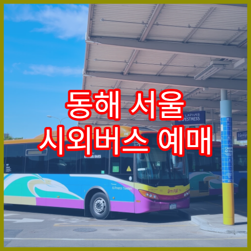 동해 서울 시외버스 예매 일정과 이용 꿀팁 모음